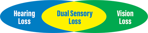 HL--DSI--VL Hearing Loss / Dual Sensory Loss / Vision Loss image